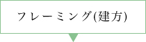 フレーミング(建方)